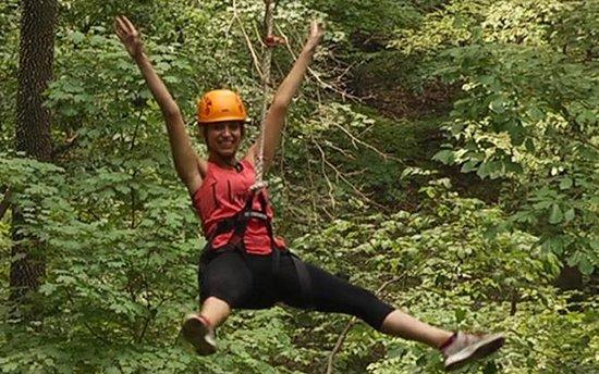 Adventureworks Zipline Forest